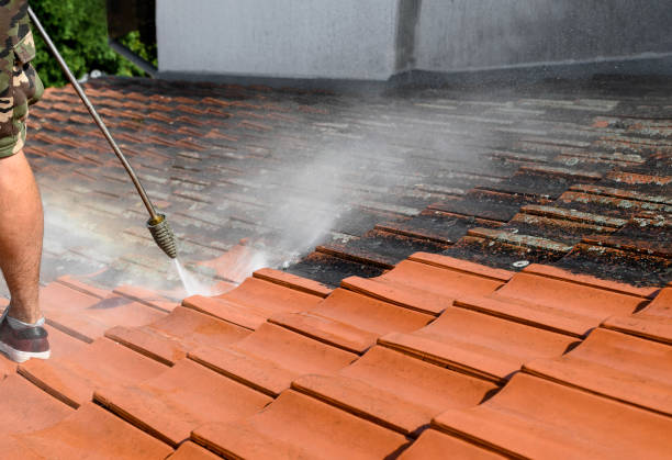 Best Affordable Pressure Washing  in Middlebush, NJ
