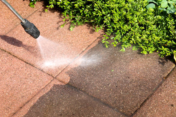 Best Best Pressure Washing Companies  in Middlebush, NJ